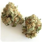 Шишки "White Widow"  (Белая вдова)  Гидропоника -  Бошка VHQ в Боровичах