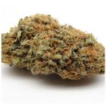 Шишки AK47 (Гидропоника, Бошка) VHQ в Боровичах Шишки AK47 (Гидропоника, Бошка) VHQ в Боровичах