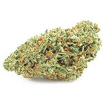 Шишки OG Kush (Гидропоника, бошки) VHQ в Боровичах Шишки OG Kush (Гидропоника, бошки) VHQ в Боровичах